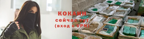 ПСИЛОЦИБИНОВЫЕ ГРИБЫ Абаза