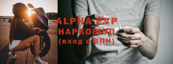 ПСИЛОЦИБИНОВЫЕ ГРИБЫ Абаза