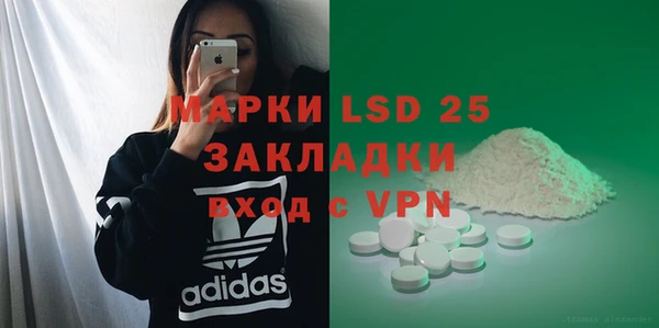 ПСИЛОЦИБИНОВЫЕ ГРИБЫ Абаза